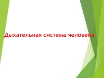 Презентация урока по биологии Дыхательная система человека