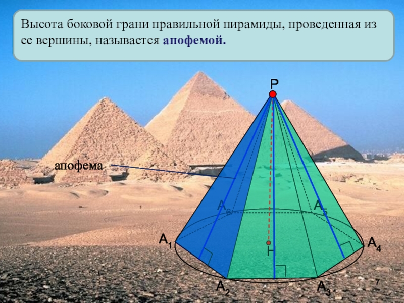 Высота боковой грани правильной пирамиды. Пирамида Хефрена апофема пирамиды. Пирамида с апофемой и вершиной. Пирамида, вершина, апофема, высота. Высота боковой грани пирамиды.