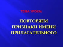 Презентация по русскому языку Повторяем признаки имени прилагательного (4 класс)