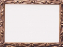 Презентация к уроку: Путешествие в царство растений