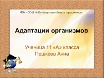 Презентация по биологии на тему Адаптация организмов 11 класс