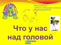 Презентация по окружающему миру на тему Что у нас над головой? (1 класс)