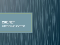 Презентация по биологии на тему Строение костей