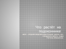 Презентация по окружающему миру на тему Что растёт на подоконнике 1 класс