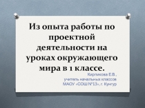 Презентация Из опыта работы по проектной деятельности