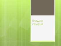Презентация по биологии Плоды и семена