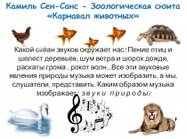 Презентация проекта Камиль Сен-санс