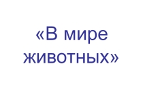 Презентация по природоведению на тему В мире животных (5 класс)