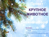 Презентация по Окружающему миру на тему Животный мир 2 класс Снежный барс.