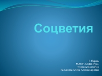 Презентация по биологии на тему Соцветия (6 класс)
