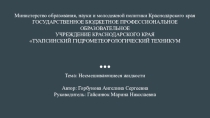 Индивидуальный проект: Несмешивающиеся жидкости