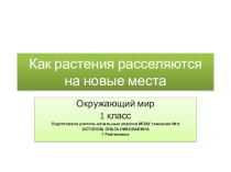 Презентация по окружающему миру Как растения расселяются на новые места 1 класс