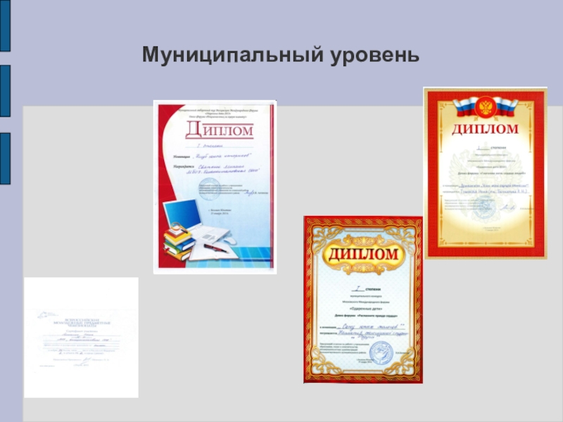 Презентация моего педагогического опыта Муниципальный уровень Муниципальный уровень