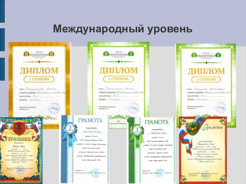 Презентация моего педагогического опыта Международный уровень Международный уровень