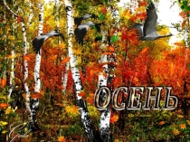 Осень золотая в гости к нам пришла