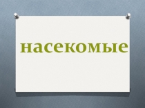 Презентация по окружающему миру Насекомые (1-2 класс)