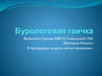 Презентация о Буроголовой гаичке по биологии