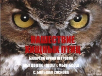 Презентация Помощь хищным птицам в Пермском крае