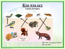 Презентация по окружающему миру Кто кого ест