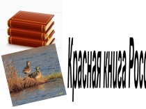 Презентация по окружающему миру на тему Красная книга России  3 класс