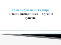 Презентация к уроку по теме Органы чувств