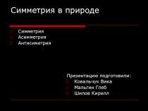 Презентация по геометрии 10 класса к проектному уроку Симметрия и ассимметрия. Красота или уродство? работа детей.