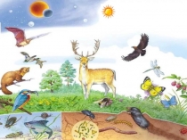 Презентация по биологии.Обобщающий урок Многообразие организмов и их взаимосвязи, 5 класс