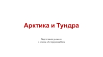 Презентация Арктика и Тундра окружающий мир