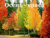 Презентация  Осень - краса