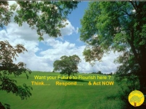 Презентация - Can plastics kill?