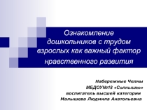 Презентация  Ознакомление с трудом взрослых