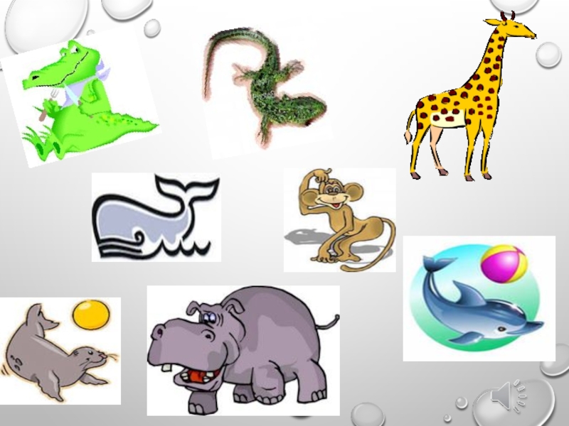 Английский 2 класс тема животных. Животные иллюстрации. Рисунки с животными. 4 Класс спотлайт животные. Рисунок на тему животные.