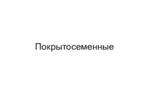 Презентация отд. Покрытосеменные 6 класс