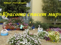 Презентация на конкурс Чистый город