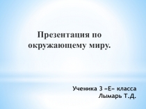 Можжевельник