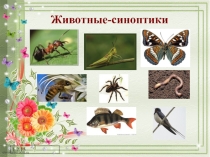 Презентация классного часа на тему Удивительное рядом