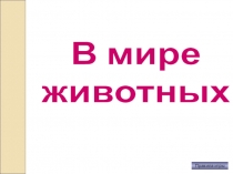 Викторина В мире животных (приурочена ко Всемирному дню охраны животных)
