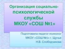 Из опыта работы. Перезнентация Психологическое сопровождение обучающихся в образовательном процессе