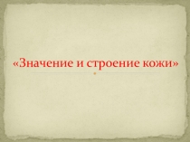 Презентация по биологии на тему Покровы тела (8 класс)