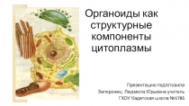 Презентация по биологии на тему Органоиды как структурные компоненты цитоплазмы(11 класс)