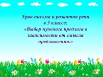Презентация урока письма и развития речи в 3-м классе СКК 8 вида
