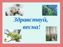 Птицы весело поют.
