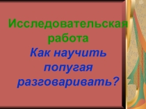 Проект  Как научить попугая разговаривать