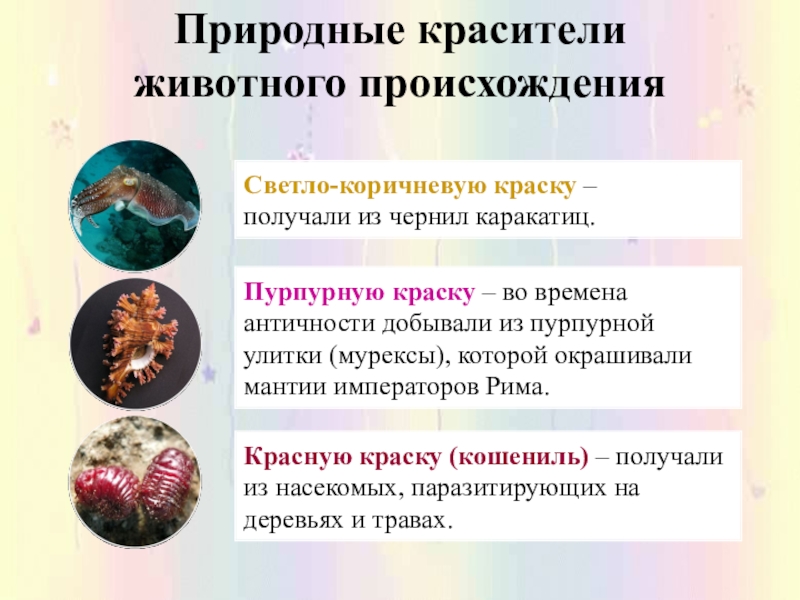 Красители и пигменты презентация