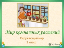 Презентация по познанию мира на тему комнатные растения
