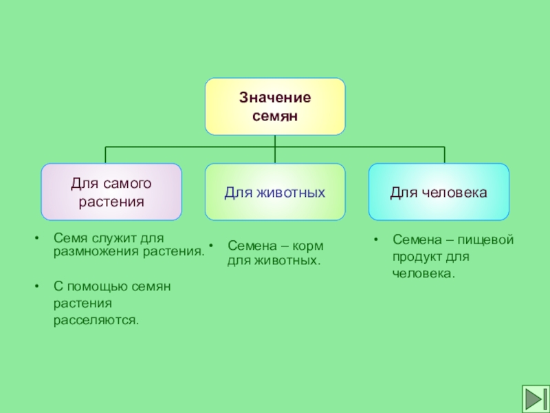 Какое значение имеют планы и карты как они используются человеком