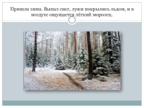 Простые и сложные предложения