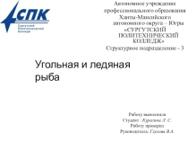 Угольная и ледяная рыба. учащаяся 53-26 Повар. кондитер Курагина Лолита