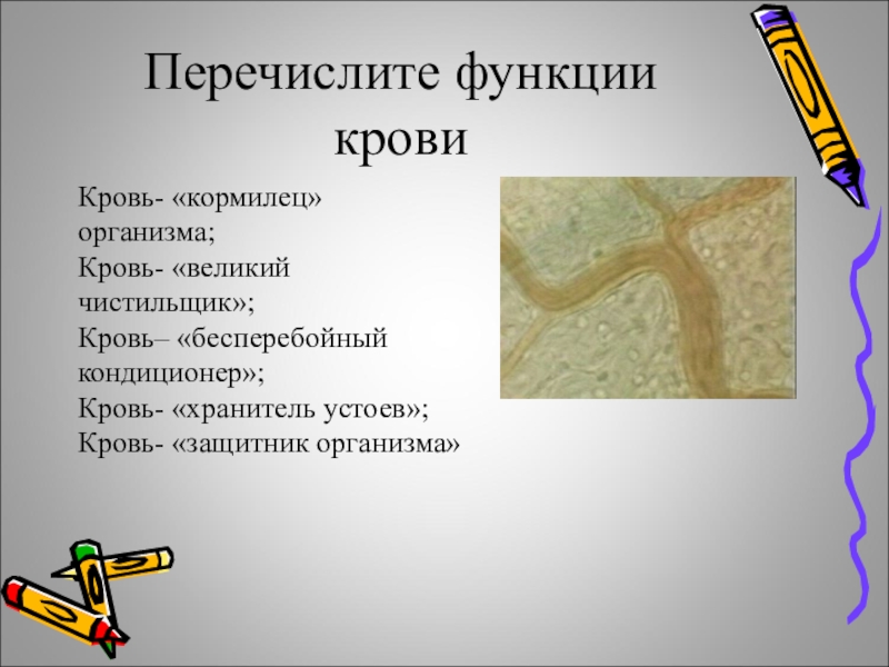 Перечислите 7. Перечислите функции крови. Перечисление функций крови. Перечислите и охарактеризуйте функции крови.. Перечислите функции кров.