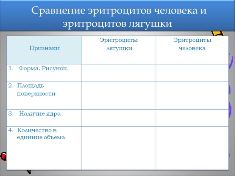 Форма эритроцитов лягушки. Сравнительная характеристика эритроцитов лягушки и человека. Количество эритроцитов лягушки. Количество в единице объема эритроцитов лягушки. Таблица эритроциты человека и лягушки.